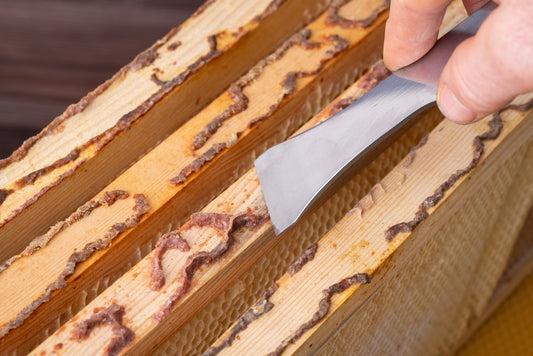 Propolis: the Unsung Bee Product with Health Benefits
