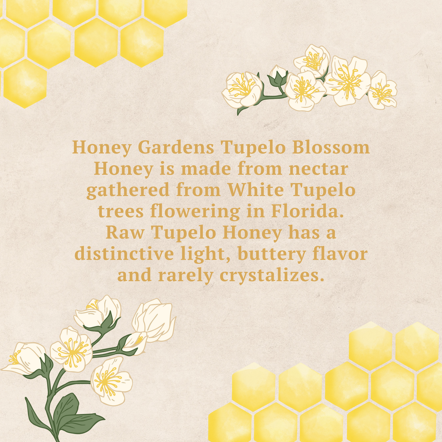 Raw Honey | Tupelo Blossom