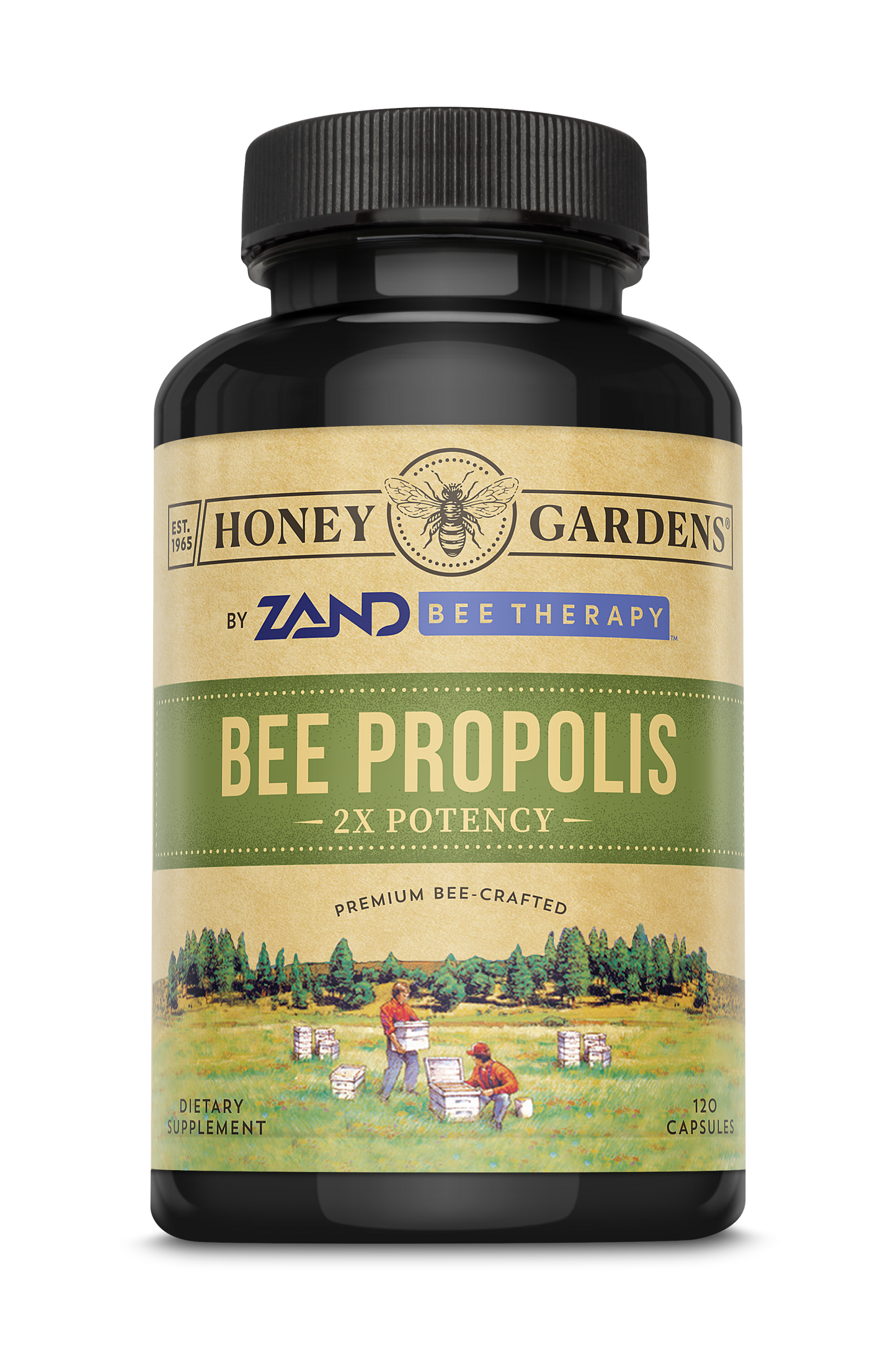 Bee Propolis
