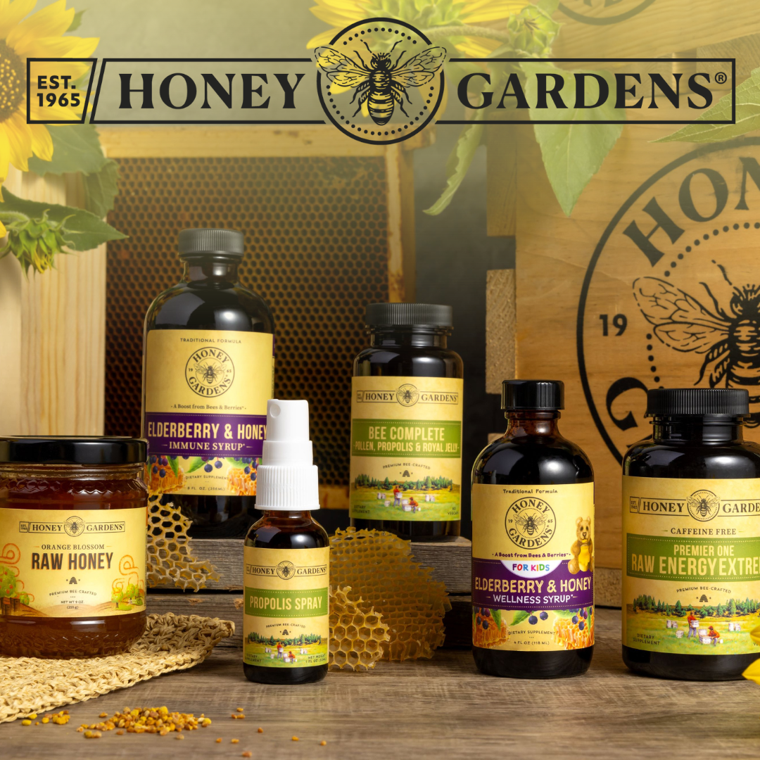 Sirop de gingembre liquide Honey Gardens 237 ml : : Santé